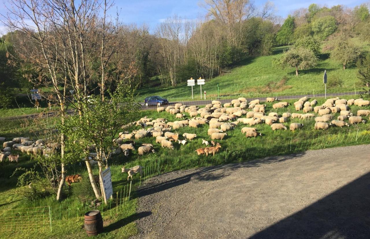 Cote Puy-de Dome Frühstückspension